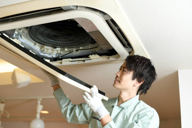 Best Residential Air Duct Cleaning  in Iowa Colony, TX